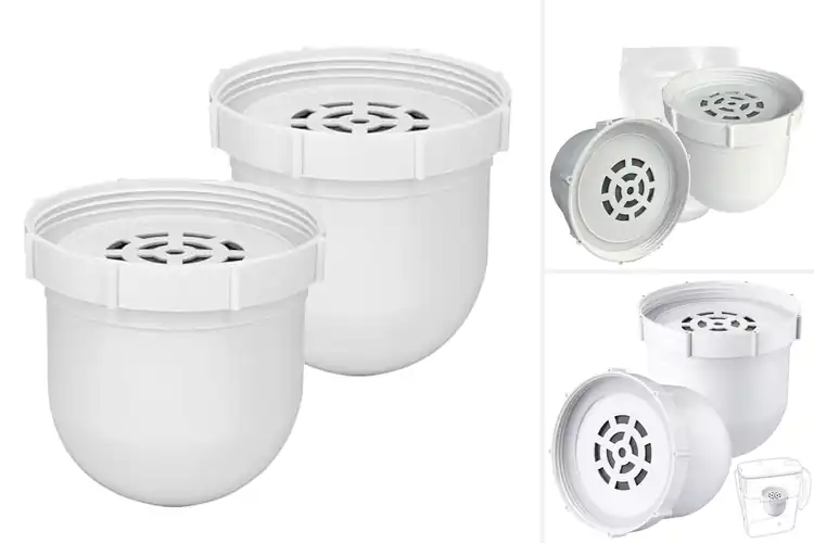 Detailed view of Best 100 Gallon Life Pitcher Filter