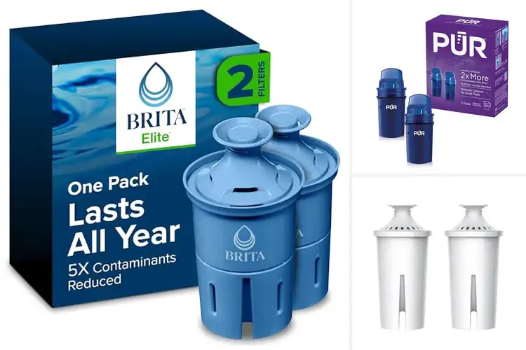 Detailed view of Best 2-Pack Pitcher Filters