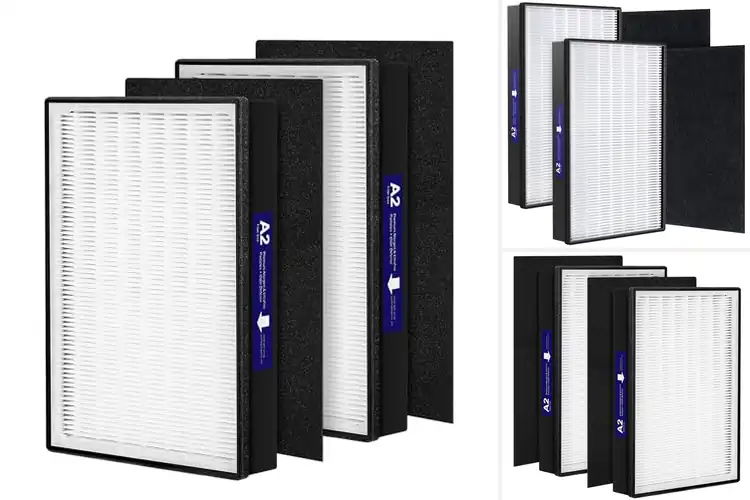 Detailed view of Best 2 Pack Replacement Filter