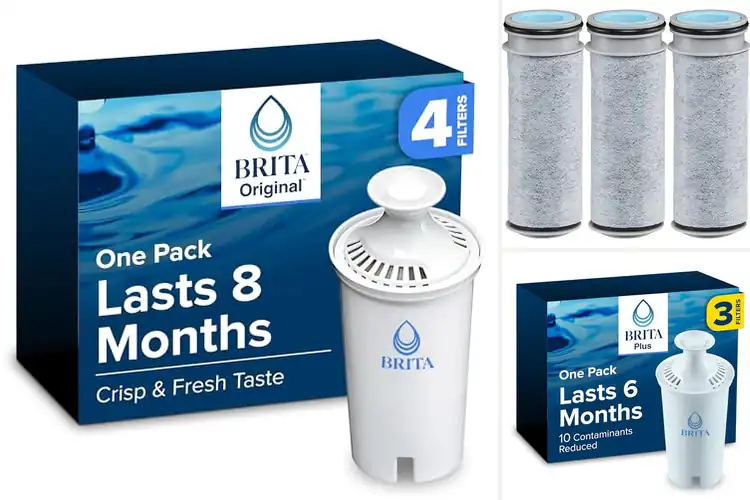 Detailed view of Best 40 Gallon Filter Replacement For Pitcher