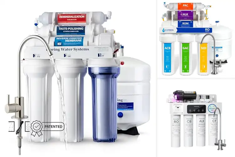 Detailed view of Best Alkaline Water Systems