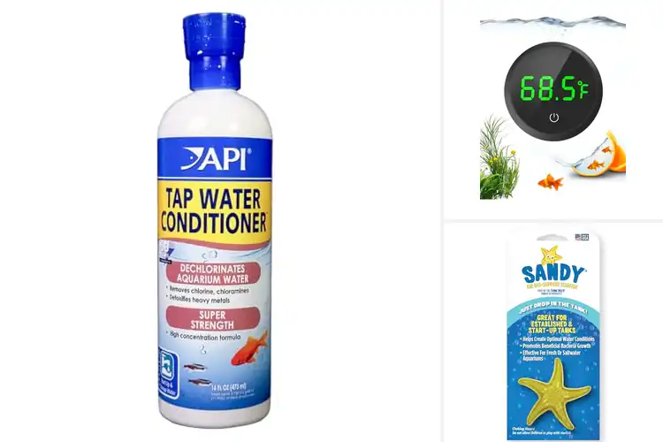 Detailed view of Best Aquarium Supplies: 10 Must-Haves for a Thriving Tank