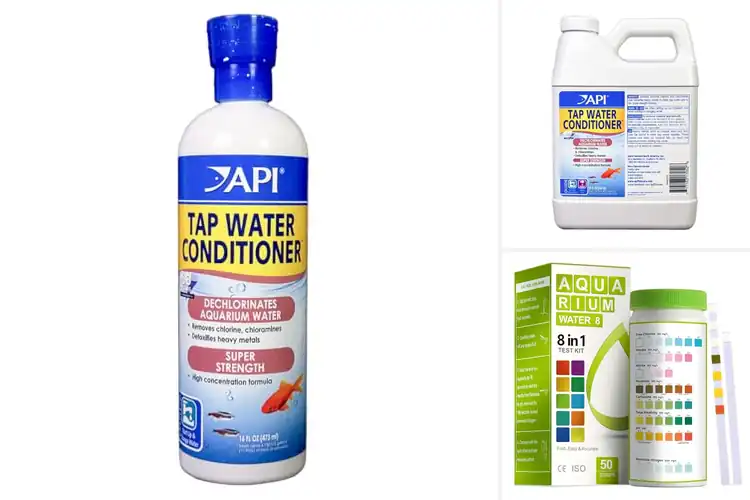 Detailed view of Best Aquarium Waters