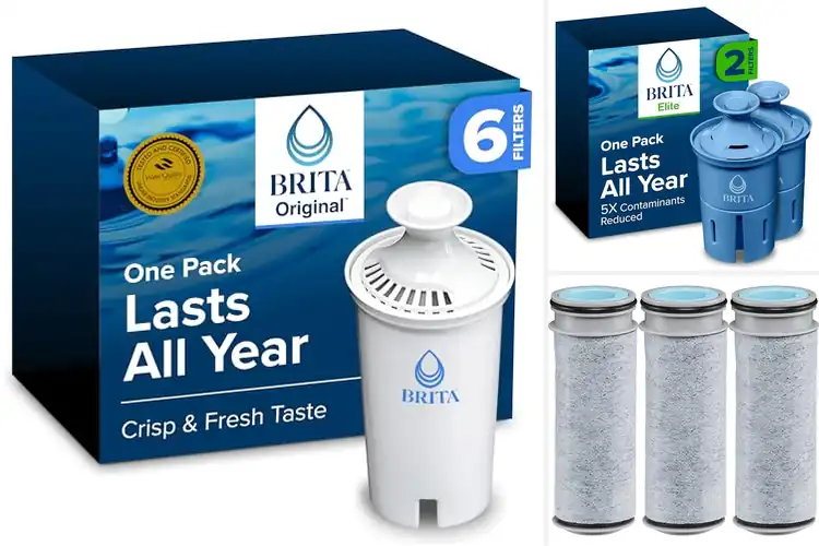 Detailed view of Best Brita Compatibility