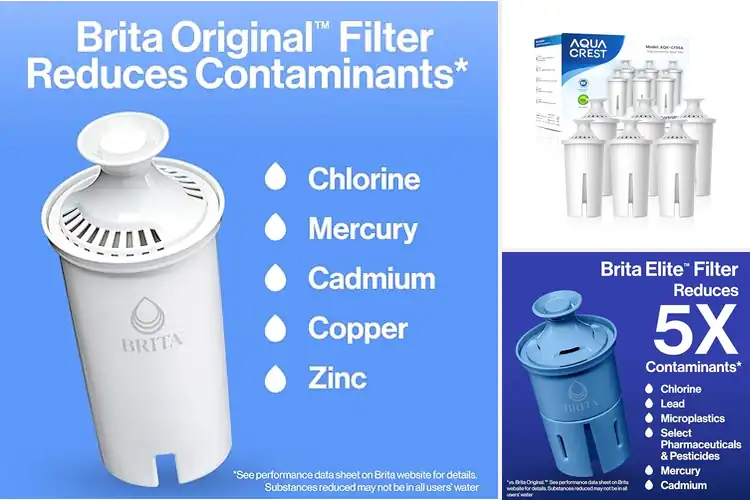 Detailed view of 10 Best Brita Pitcher Filter Replacements for Pure Water