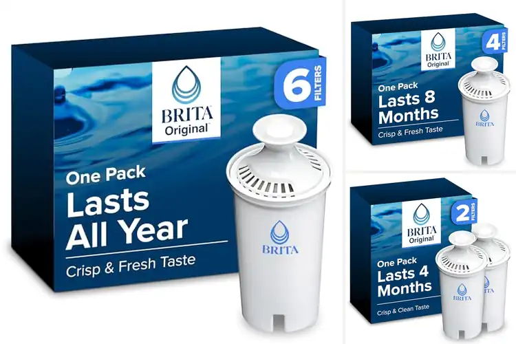 Detailed view of Best Brita Standard Water Filter