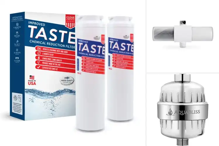Detailed view of Best Chemical Reduction Water Filter