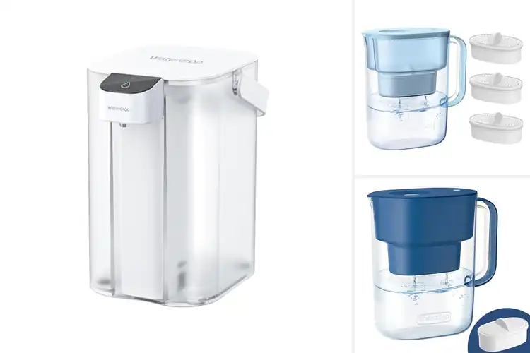 Detailed view of Best Chlorine Taste Reduction Pitcher