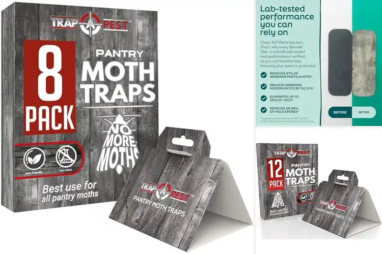 Detailed view of 10 Best Contaminants Traps: End Pantry Moths Fast
