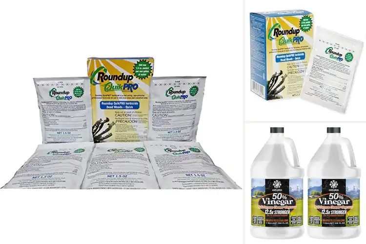 Detailed view of Best Cost Per Gallon