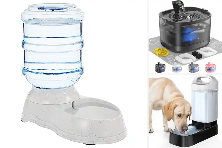 Detailed view of Best Easy-to-Clean Water Dispensers