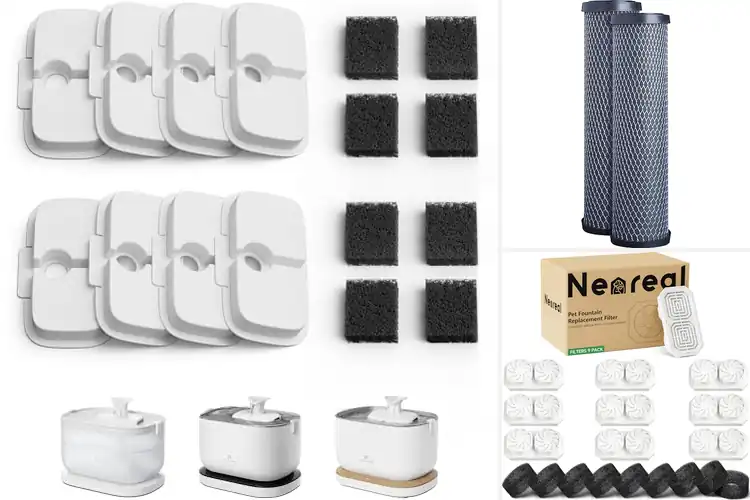 Detailed view of Best Filter Replacement Schedule