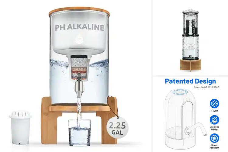 Detailed view of Best Healthy Water Dispensers