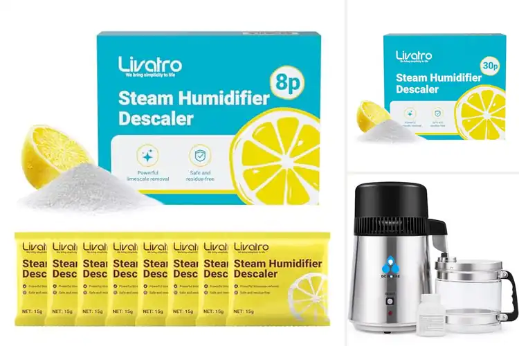 Detailed view of Best Humidifier Distillers: Top 5 Picks for Pure Air & Water