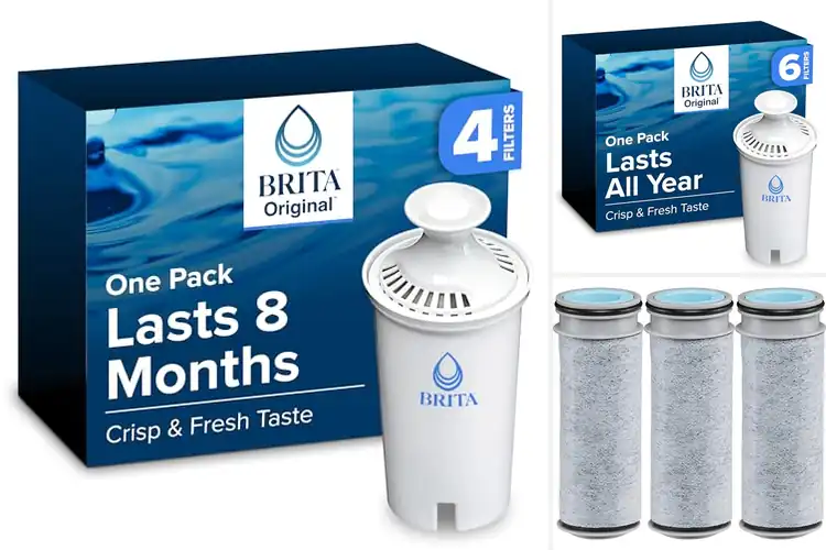 Detailed view of Best Longevity Filter Brita 40 Gallons