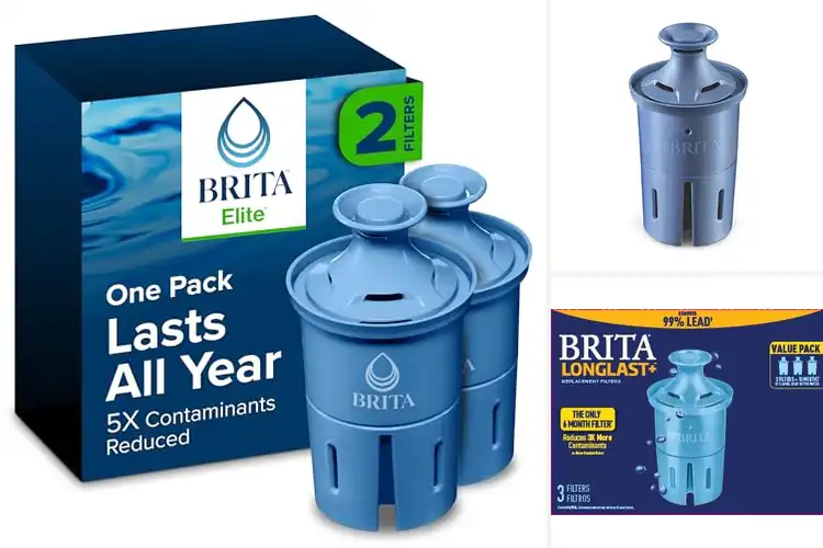 Detailed view of Best Longlast Filter Pitchers