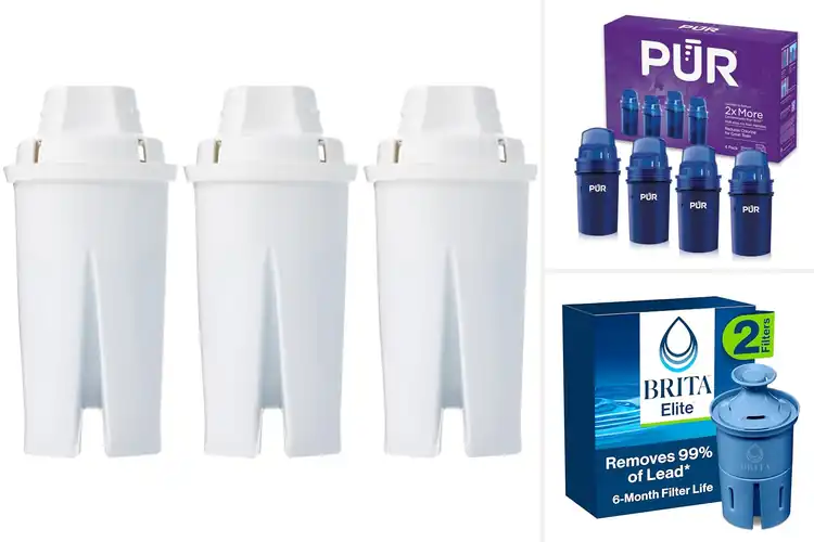 Detailed view of 10 Best Pitcher Replacements for Fresher Water Savings