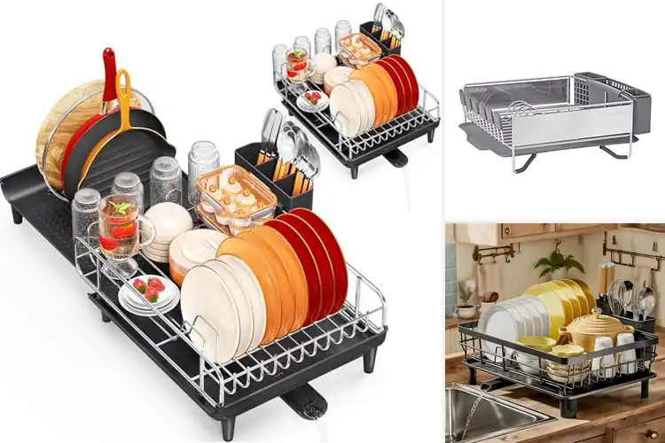 Detailed view of 10 Best Plate Dryers for a Tidy, Dry Kitchen
