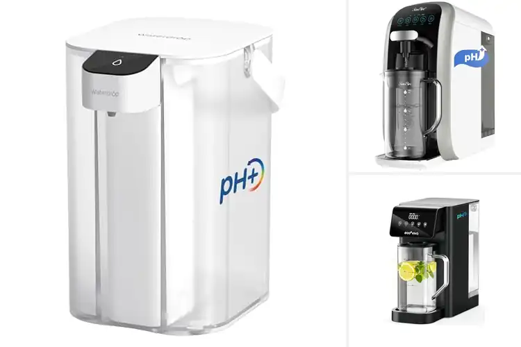 Detailed view of Best Portable Alkaline Water Systems