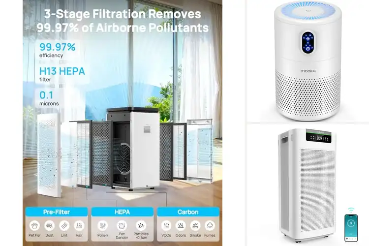 Detailed view of Best Purifiers for VOC Removal