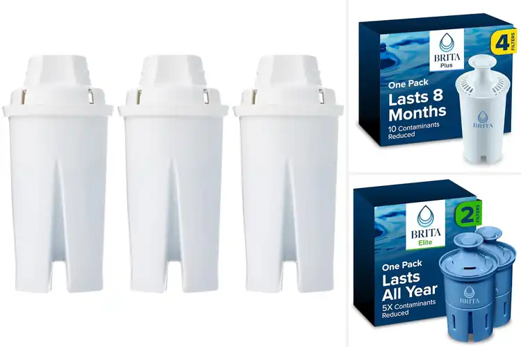 Detailed view of Best Replacement Filters For Water Pitchers