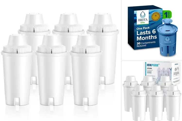 Detailed view of Best Water Filters for Everyday Pitchers