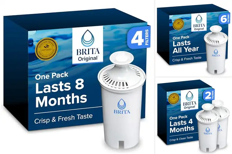 Detailed view of Best Water Filters With Standard Filters