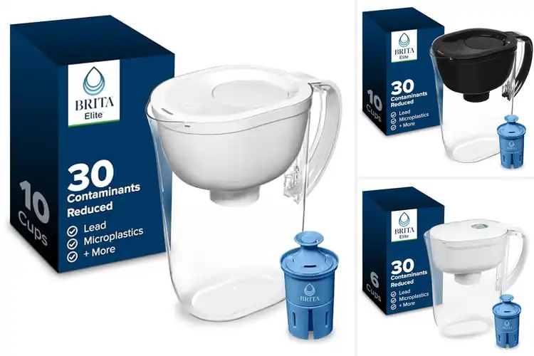 Detailed view of Best Water Pitchers With Elite Filters