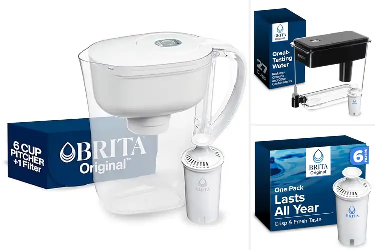Detailed view of Best Water Pitchers With Standard Filters