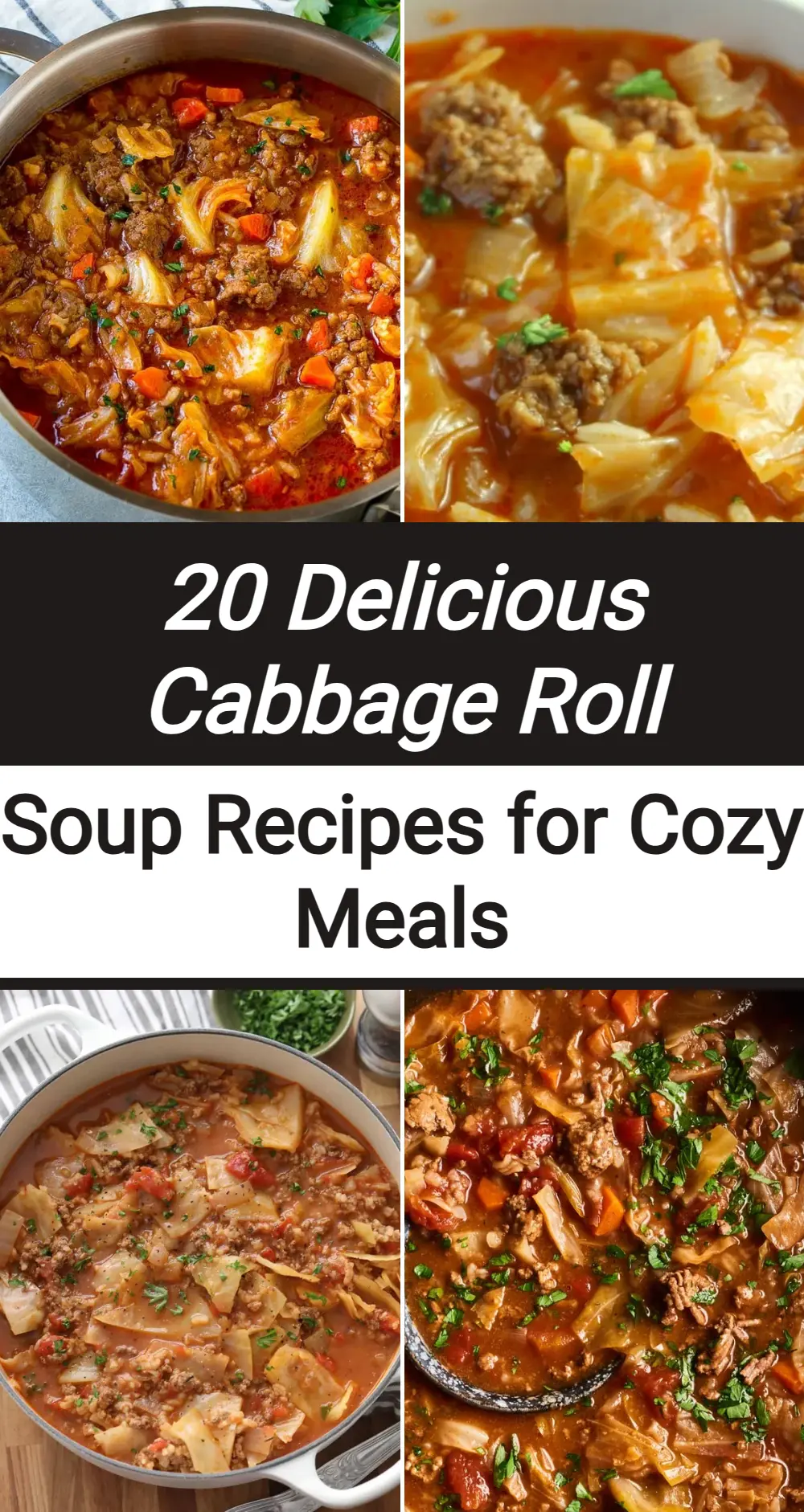 Photo of Cabbage Roll Soup