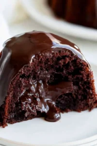 Tunnel of Fudge Cake Photo